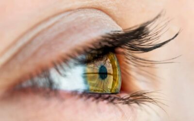 Greffe de cils : prix et déroulement du traitement